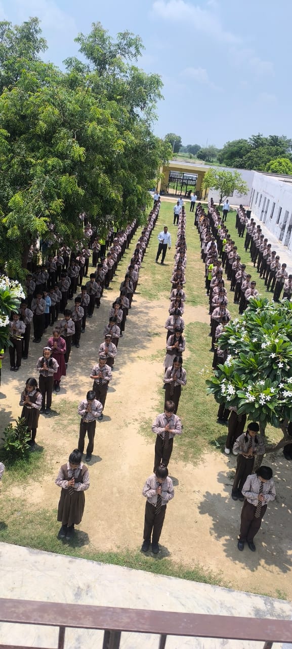 School Activity New