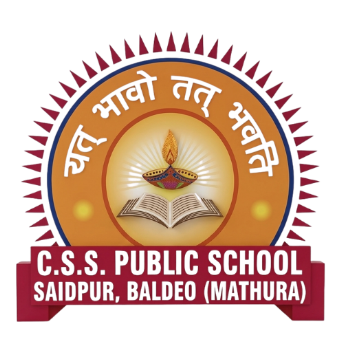CSS Logo